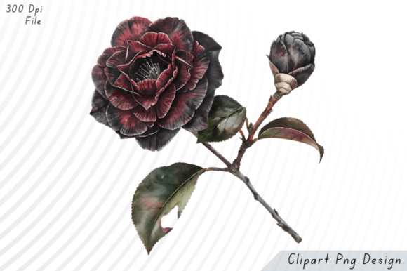 Download Midnight Bloom Gothic Camellia Clipart P - Clipart Collection