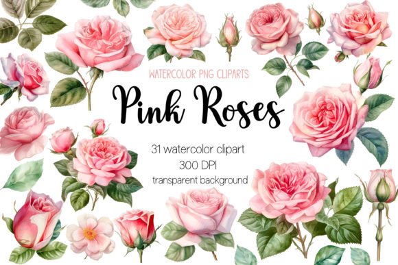 Download Pink Roses Watercolor Clipart Bundle - Clipart Collection