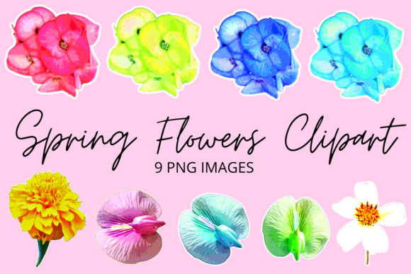 Download Colourful Spring Flowers Clipart Set - Clipart Collection