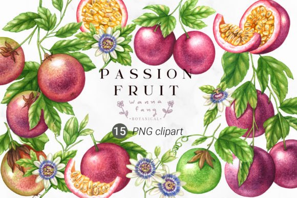 Download Passion Fruit Watercolor Clipart, PNG - Clipart Collection